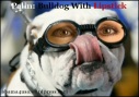 Sarah Palin - Bulldog With Lipstick